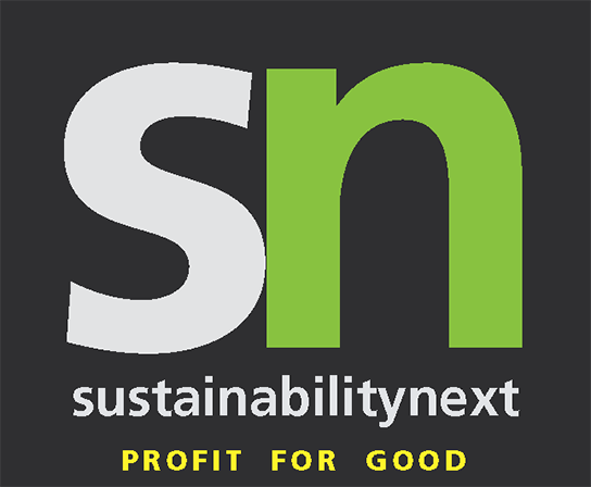 SNext website retina Logo
