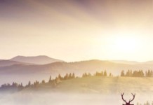 Sustainable Development of Natural Resources and Wildlife Conservation Sustainable-Development-of-Natural-Resources-and-Wildlife-Conservation