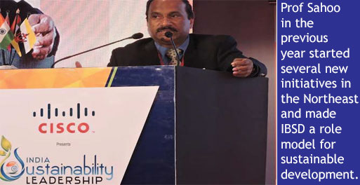 Prof. Dinabandhu Sahoo, Director, IBSD
