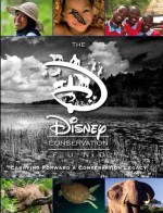 The Disney Conservation Fund