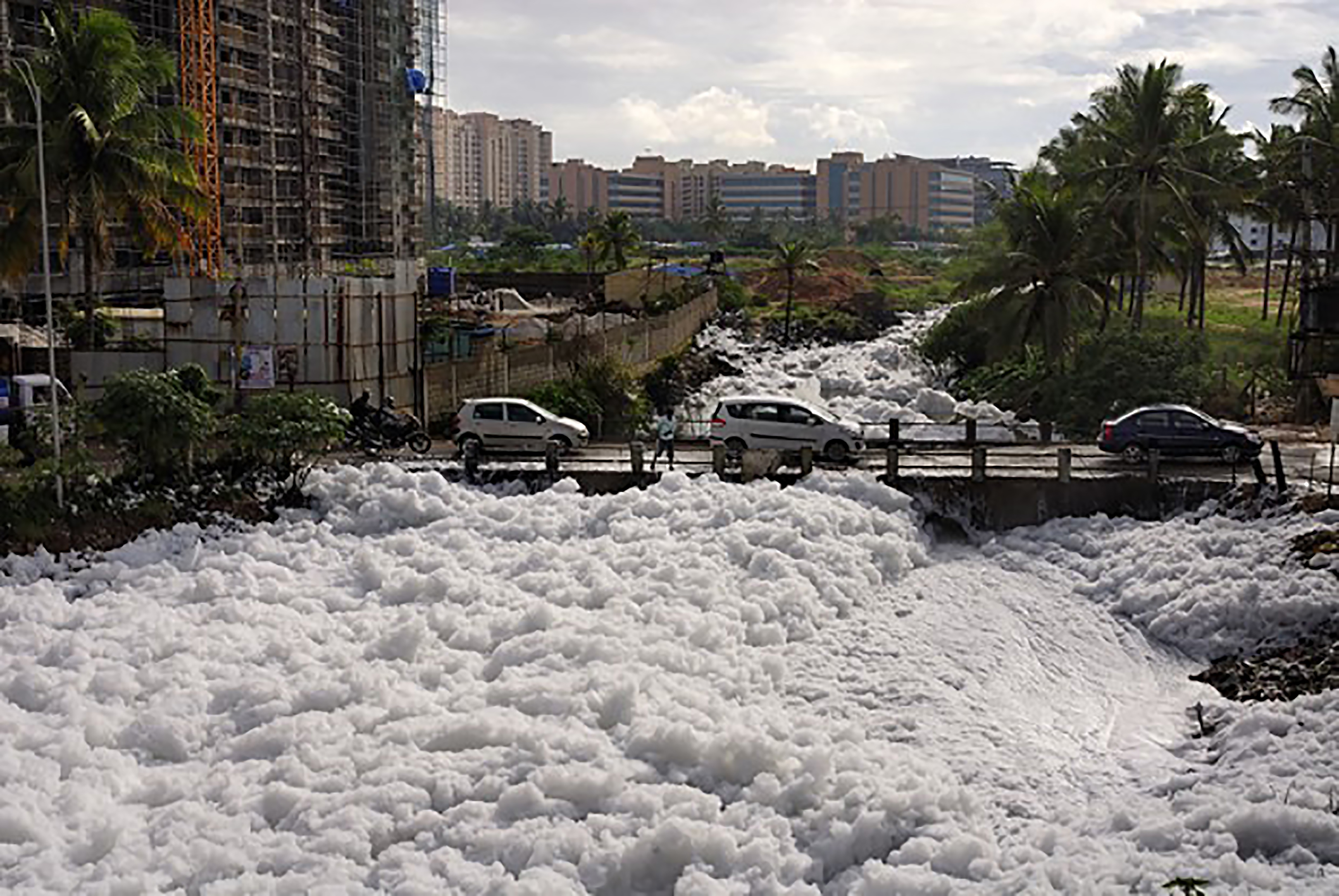 Harmful Snowy Froth