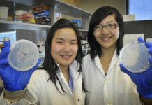 Fish Food Using Plastic Waste plastic-founders