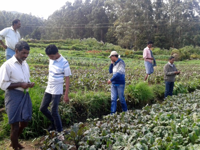 Agri team with farmers