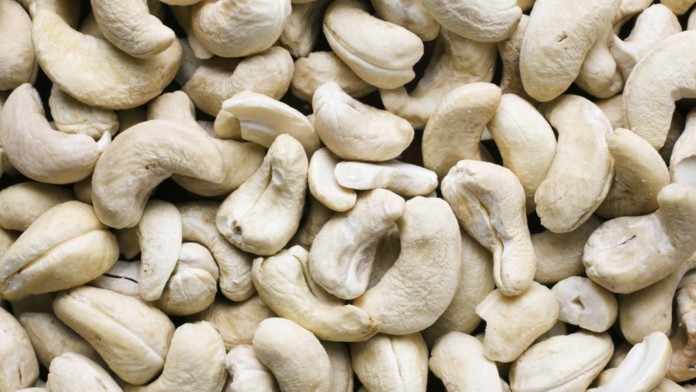 cashews-poisonous-dogs