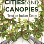 Cities-and-Canopies