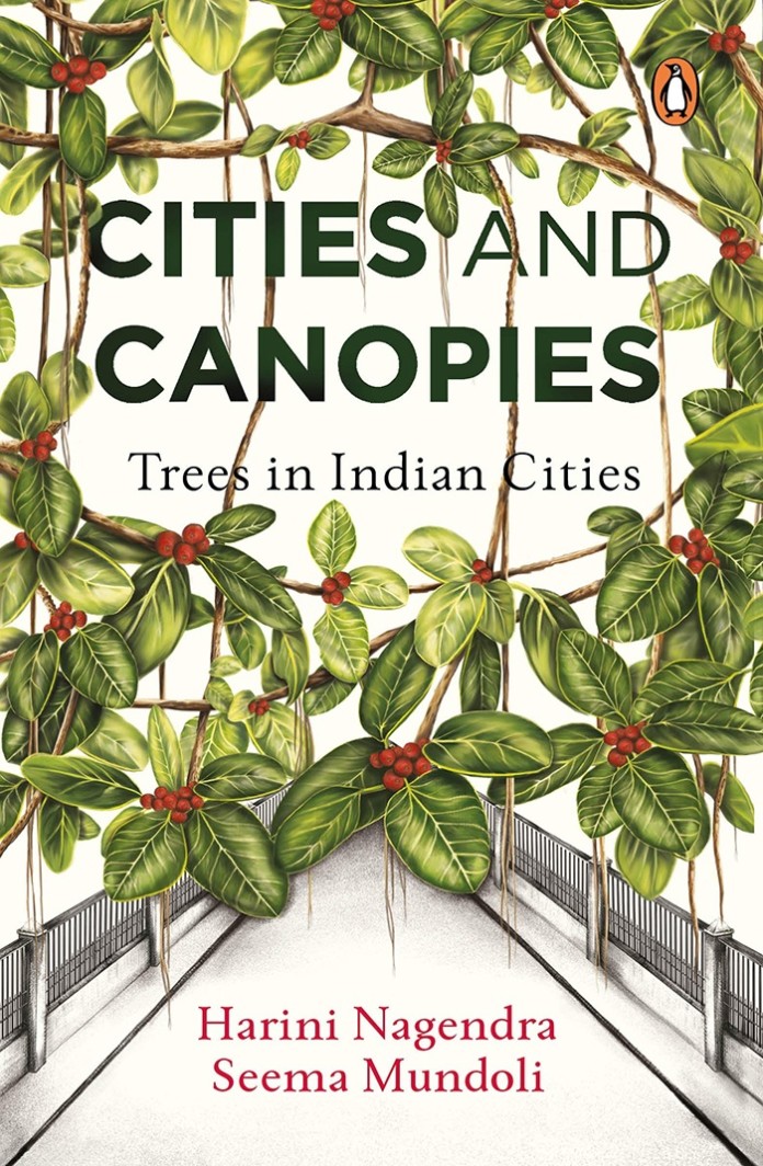 Cities-and-Canopies