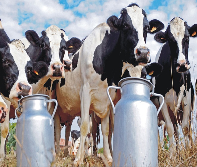 Organic Milk Importance - Telugu Agriculture News