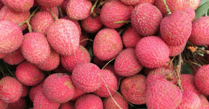 Litchi Pic