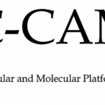 c-camp logo