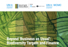 How Financial Institutions can Help Improve Biodiversity coverpage