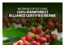 Partnerships Key to Supporting Vulnerable Farmers Coffee tree