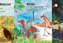 Environmental Writing Should Appeal to the Heart kalpavriksh book collage