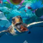 plastic waste in ocean