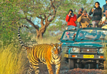 Saahas Gets Coke’s Fizz to Clean Up Panna panna-national-park
