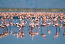 Businesses in Harmony with Nature Last 4th article image