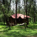 cottage-holday-home-hut-wooden-forest-lodge-recreation-tourism-devbagh