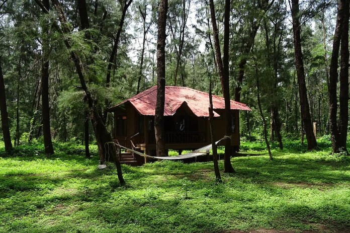 cottage-holday-home-hut-wooden-forest-lodge-recreation-tourism-devbagh