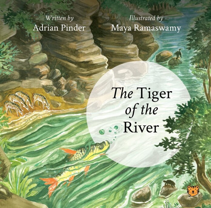 tiger of the river