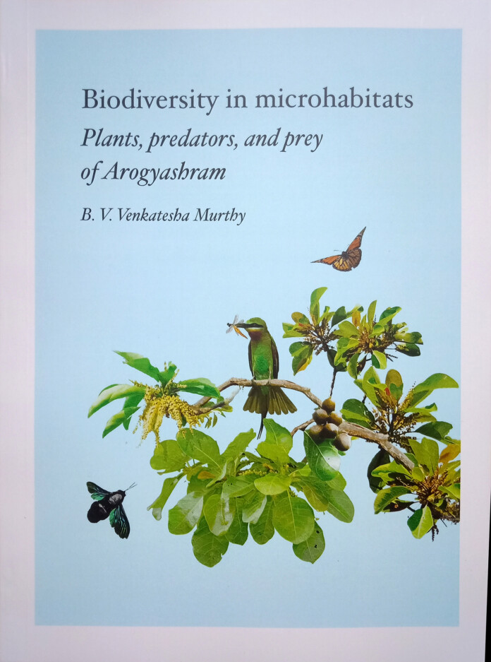Biodiversity in microhabitats