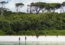 Is this a Green Budget? tribes