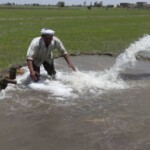 ACT Funds CEC to Cut Farm Water Wast
