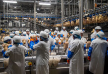 Adobe Study Finds 94% Indian Employees Make Workplace Sustainable