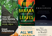 6 books about the climate crisis that offer hope