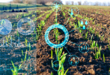 Generative AI Can Take Agriculture to the Next Level
