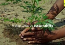 Greenply’s 50 Million Saplings Bet