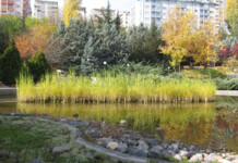 India Needs Inclusive and Innovative Reforms in Real Estate Markets