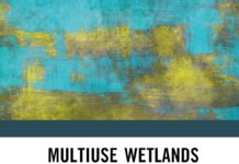 Multiuse Wetlands Governance: Challenges and Institutional Choices