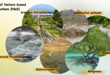 The Power of Nature-based Solutions