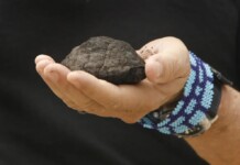 Ten Powerful Reasons for Declaring Moon A Living Entity