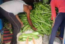 A Jharkhand Farmer Uses AI and Technology to Modernise Farming