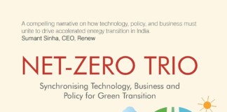 A Green Transition Blueprint