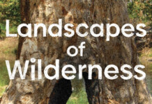 Beyond the Definitions of Wild – A Review of Landscapes of Wilderness by Narendra