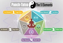 Plant the Seeds of Regenerative Leadership for the World