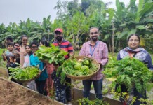 Mainstream Organic Farming