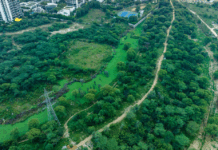 Wasteland to Green Parks