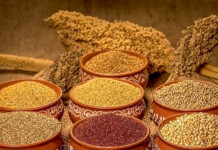 Why India Needs a Millet Revolution