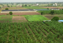 Varaha Issues First Enhanced Rock Weathering Credits