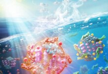 Japanese Scientists Make Plastic Produce Clean Water