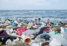 Enzymes that Breaks Down Plastic Within Hours