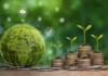 Only 12% Climate-tech Startups Reach Series B Funding