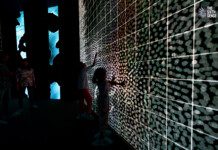 Mycelial Imagination