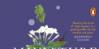 Buy Miniature Giants: Insect Stories Beyond The Ordinary