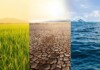 Activating the World’s Dormant Climate Solutions