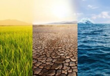 Activating the World’s Dormant Climate Solutions