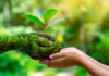 Ecological Ayurveda: Reimagining the Circular Economy