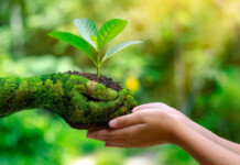 Ecological Ayurveda: Reimagining the Circular Economy